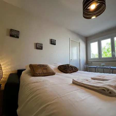 Apartment Le Sadi, Studio Renove Avec Parking Prive *
